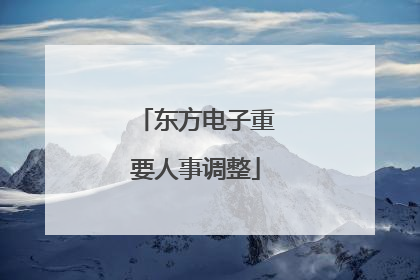 东方电子重要人事调整